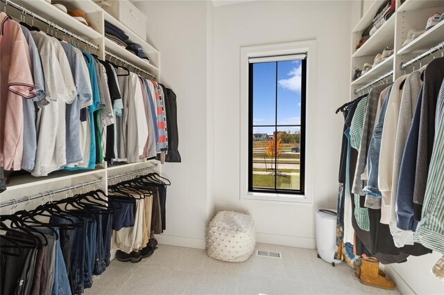 1517 SW Des Moines St, Ankeny, IA 50023 - spacious closet featuring visible vents and carpet floors