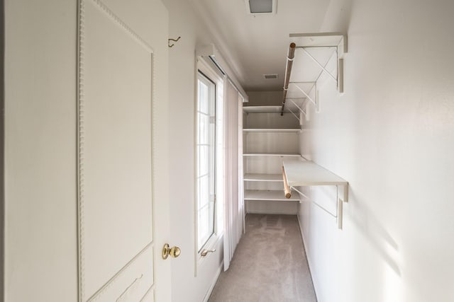 walk in closet featuring light colored carpet