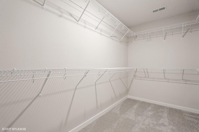 walk in closet with carpet floors