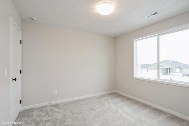 unfurnished room with a textured ceiling, light carpet, and a wealth of natural light