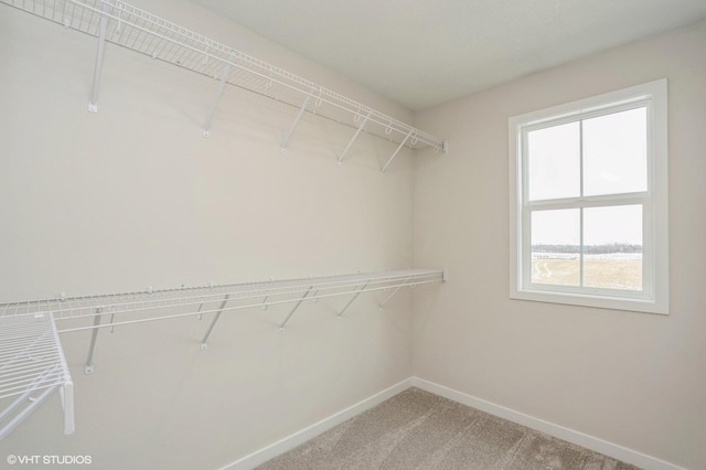 spacious closet with carpet