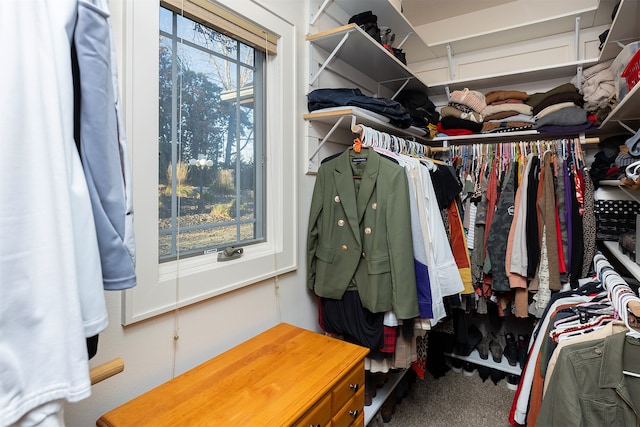 walk in closet featuring carpet flooring