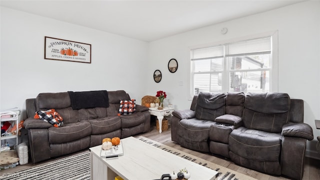 living room with light hardwood / wood-style flooring