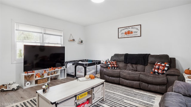 living room featuring light hardwood / wood-style floors