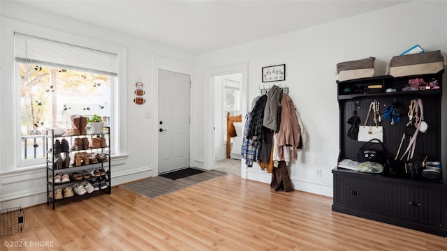 foyer entrance with wood-type flooring and a wealth of natural light