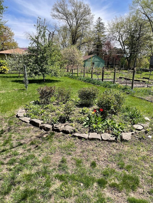 view of yard with a garden