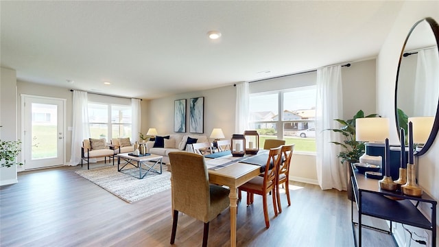 dining area with hardwood / wood-style flooring