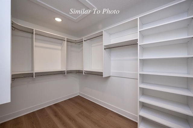 spacious closet with hardwood / wood-style flooring