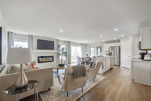 living room featuring light hardwood / wood-style floors and sink