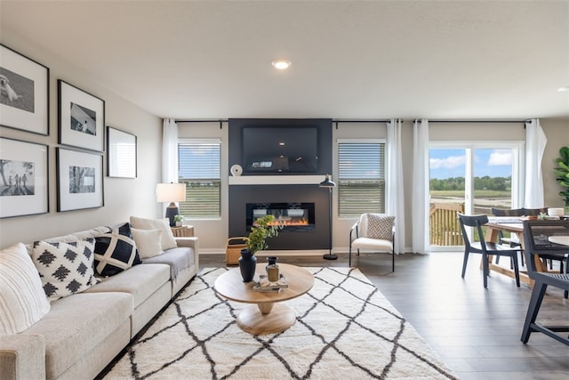 living room featuring a healthy amount of sunlight and hardwood / wood-style flooring