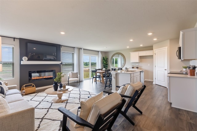 living room with hardwood / wood-style flooring