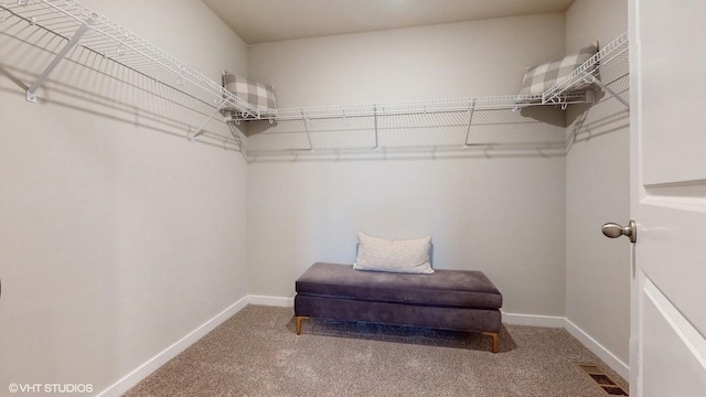 spacious closet featuring carpet and visible vents
