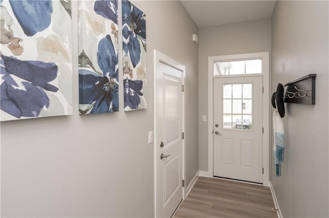 doorway to outside featuring wood-type flooring