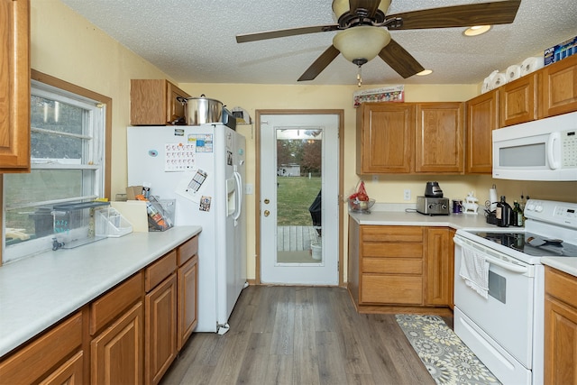 kitchen featuring light hardwood / wood-style flooring, a textured ceiling, white appliances, and plenty of natural light