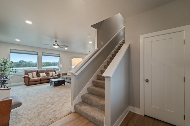 stairway featuring ceiling fan and hardwood / wood-style flooring