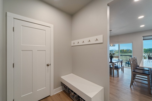 mudroom with hardwood / wood-style floors