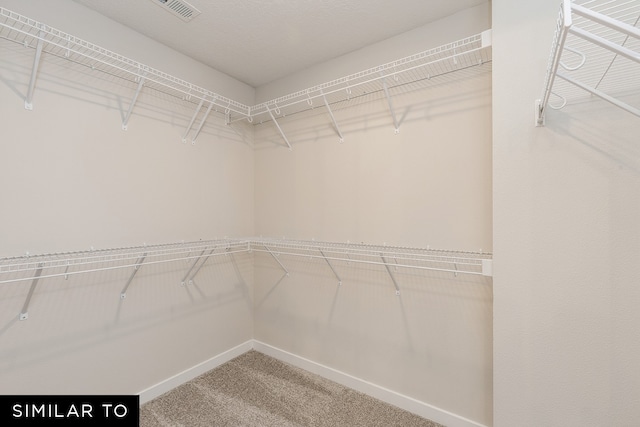 walk in closet with carpet flooring