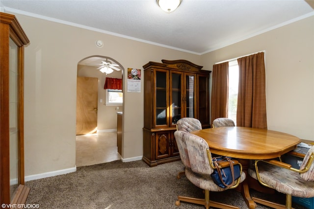 dining area with crown molding, a textured ceiling, dark carpet, and ceiling fan