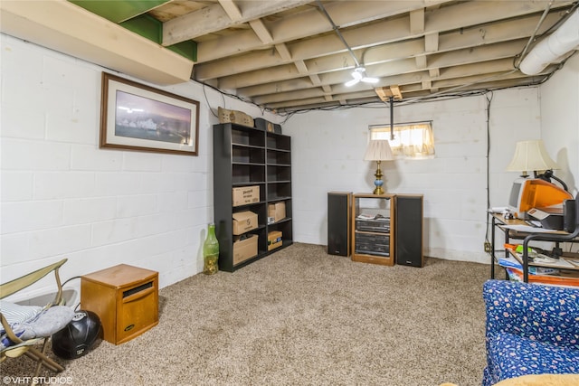 basement with carpet floors