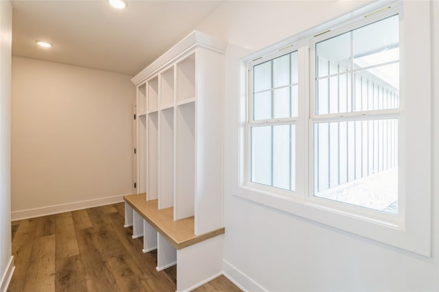 mudroom featuring a healthy amount of sunlight and dark wood-type flooring