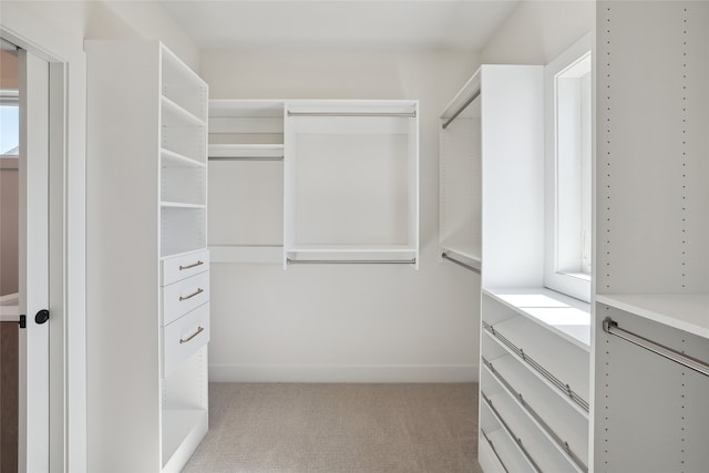 spacious closet with light carpet