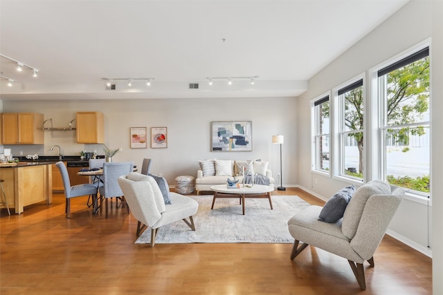 living room featuring wood-type flooring and sink