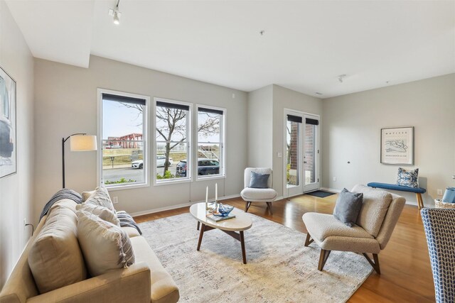 living room featuring wood-type flooring