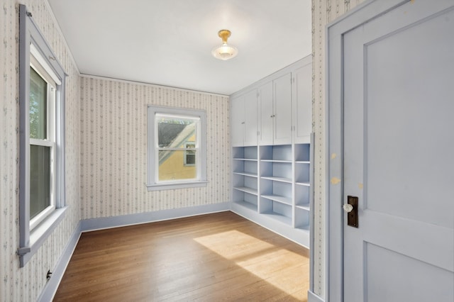 spare room with wood-type flooring