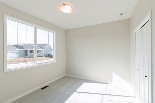 interior space with a closet and light colored carpet