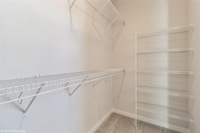 spacious closet featuring carpet