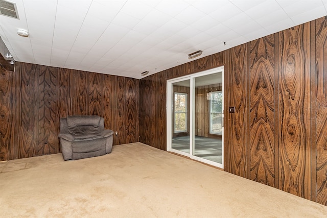 unfurnished room with wood walls and carpet floors