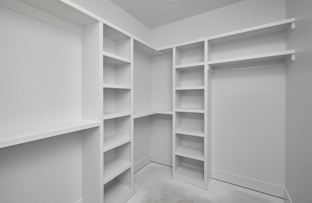 view of walk in closet