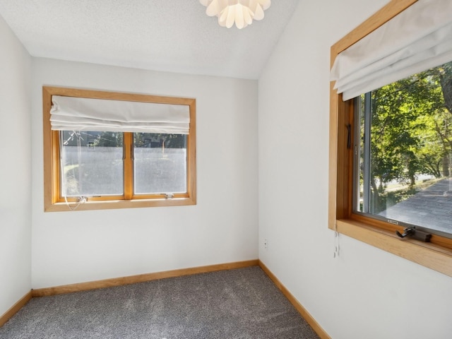 carpeted empty room featuring baseboards and a textured ceiling