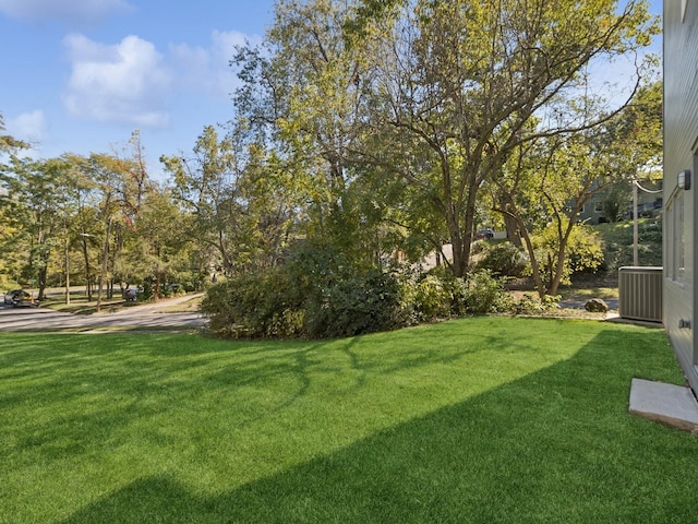 view of yard featuring central AC unit