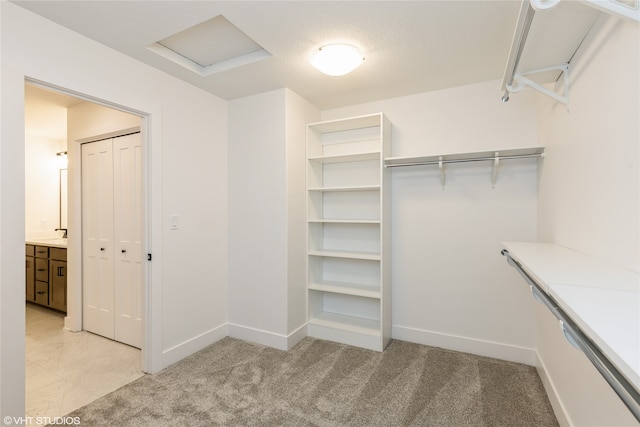 walk in closet featuring light colored carpet