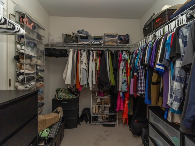 view of walk in closet