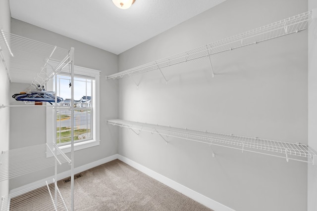 spacious closet with carpet flooring