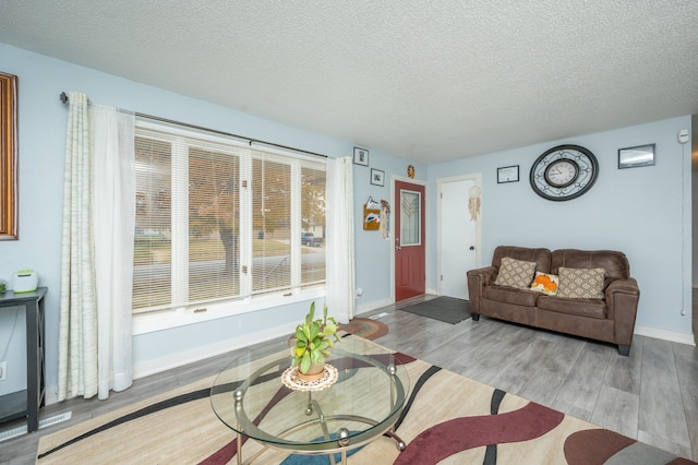 living room with hardwood / wood-style floors and a textured ceiling