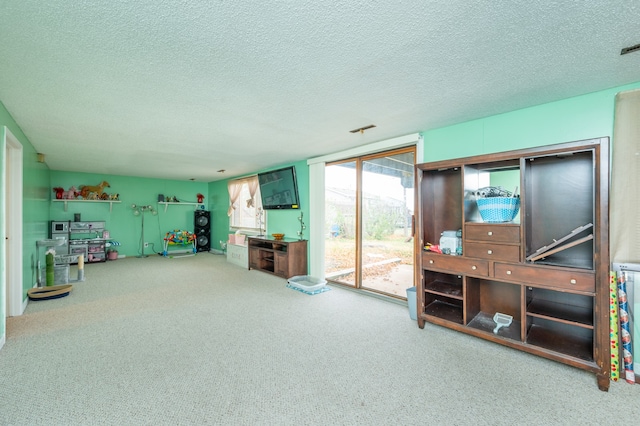 interior space with a textured ceiling and carpet floors