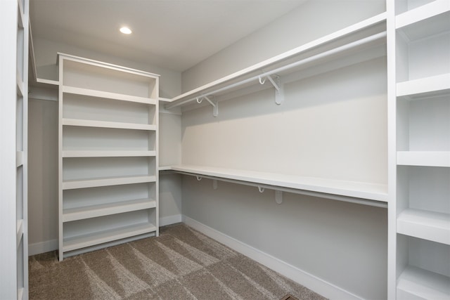 walk in closet featuring dark colored carpet