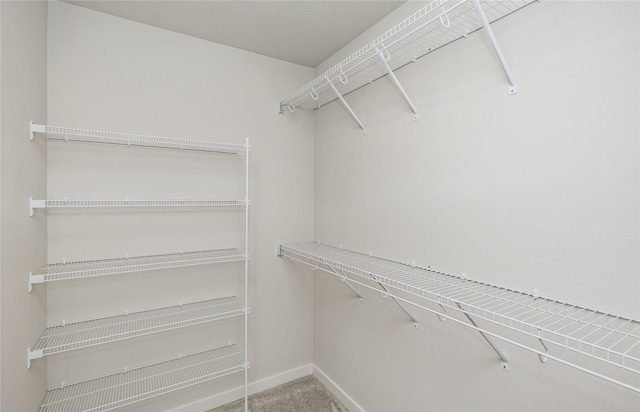 spacious closet featuring carpet flooring