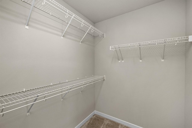 9748 Thorton Dr, Johnston, IA 50131 - walk in closet with dark colored carpet