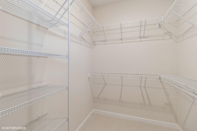 spacious closet with carpet flooring