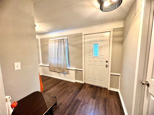 entryway featuring dark hardwood / wood-style flooring