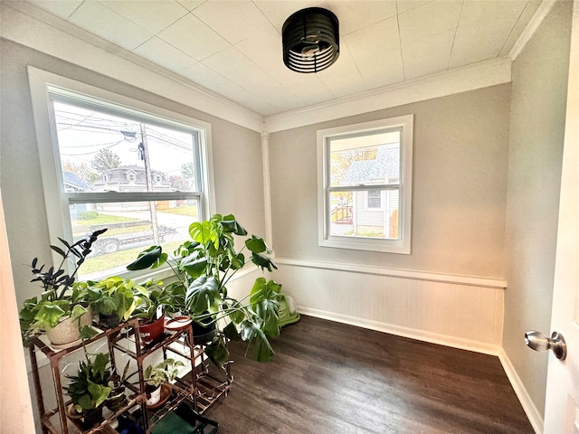 interior space with a wealth of natural light, ornamental molding, and dark wood-type flooring