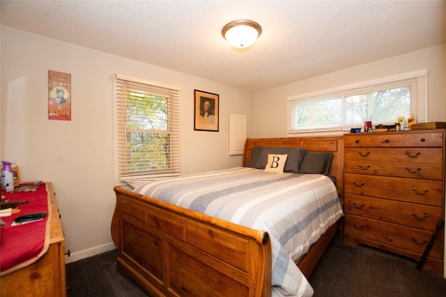 1600 Evergreen Ave, Des Moines, IA 50320 - bedroom with dark carpet and baseboards