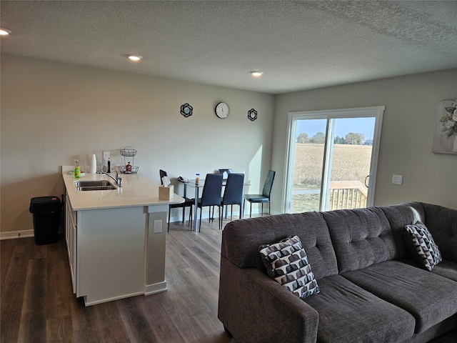 living room with sink, a textured ceiling, and dark hardwood / wood-style flooring