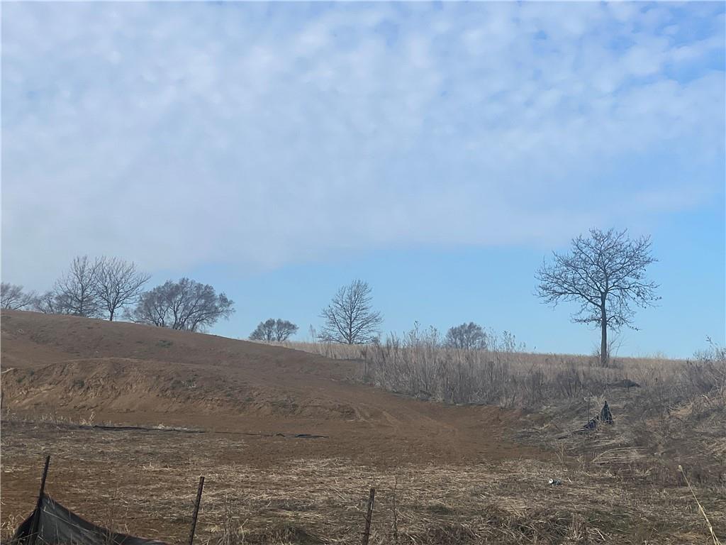 223 Arlington Ave, Van Meter, IA 50261