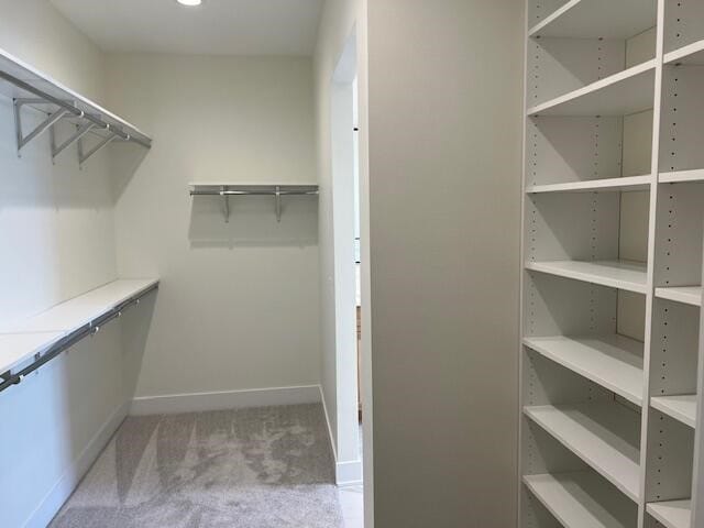 spacious closet with carpet flooring