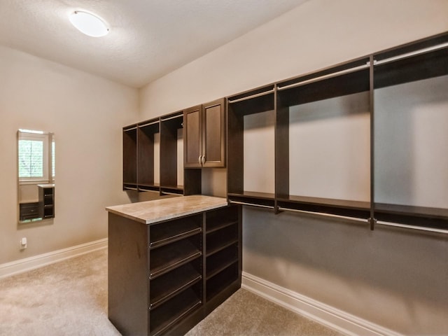 3123 162nd St, Urbandale, IA 50323 - walk in closet with light carpet